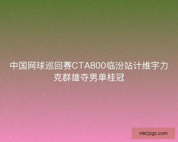 中国网球巡回赛CTA800临汾站计维宇力克群雄夺男单桂冠